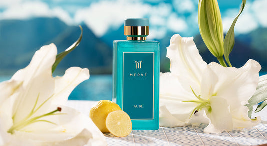Are Woody Perfumes Good for Summer? Light Woody Fragrances Explained