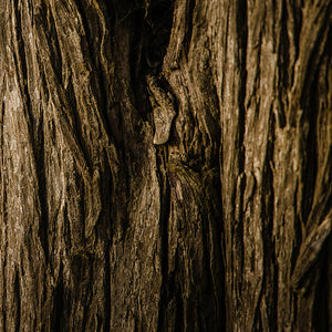 Oud/Leather